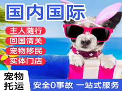 阆中古城航空邮寄国际宠物托运 【国